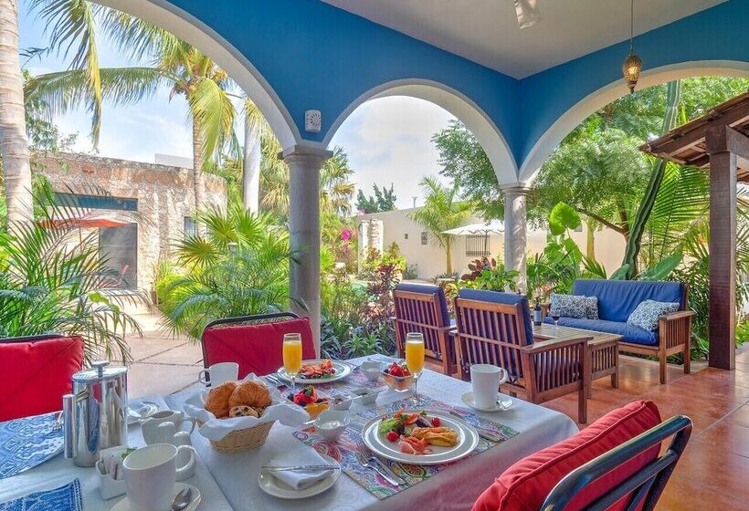 Bed & Breakfast Casa 411