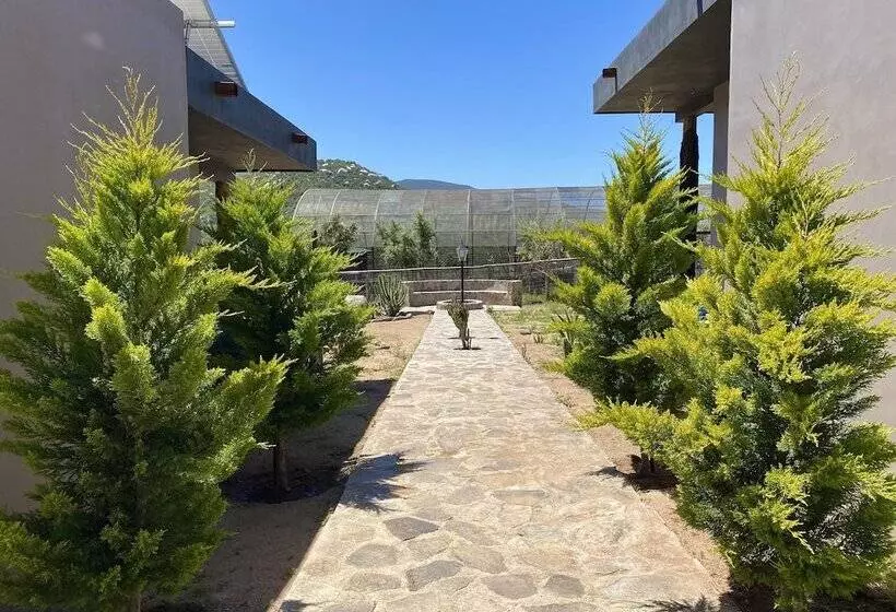Coquenas Del Valle