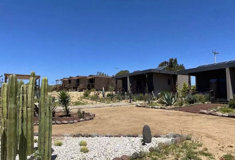 Coquenas Del Valle