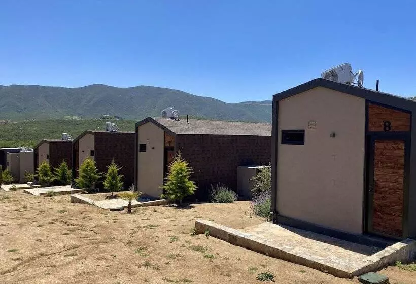 Coquenas Del Valle
