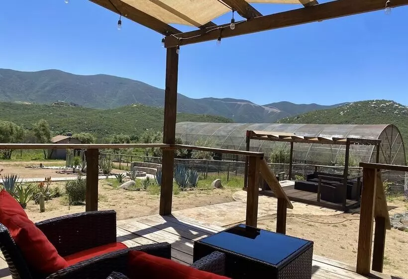 Coquenas Del Valle