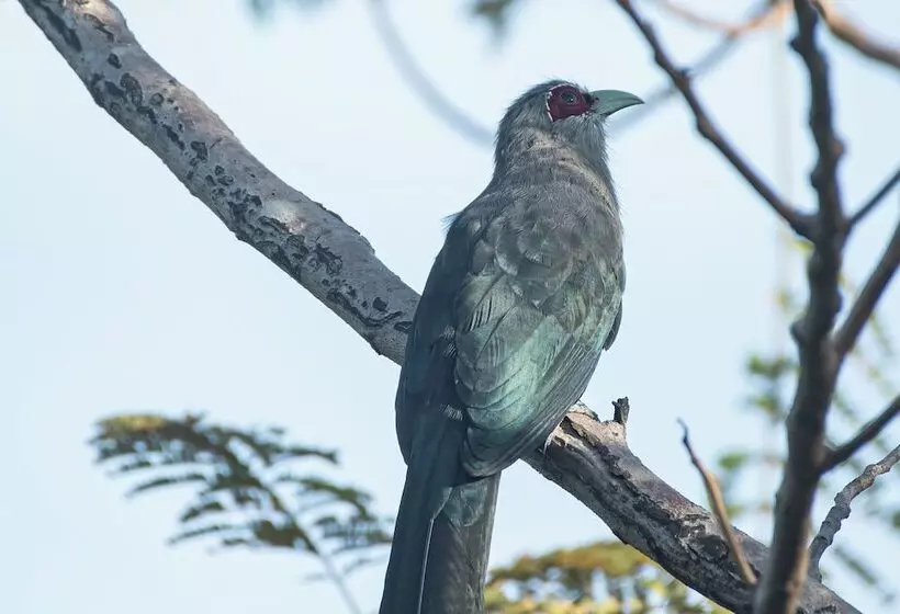 Hotelli Coconut Lane Bangkok