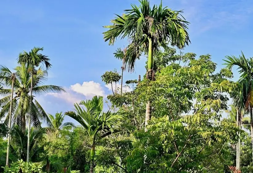 Hotelli Coconut Lane Bangkok