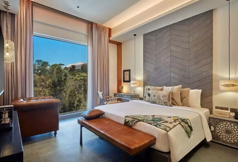 Fortune Park Palampur   Member Itc Hotels  Group