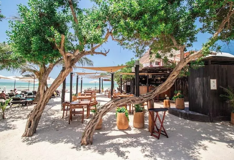 هتل Hau Holbox Beach Front