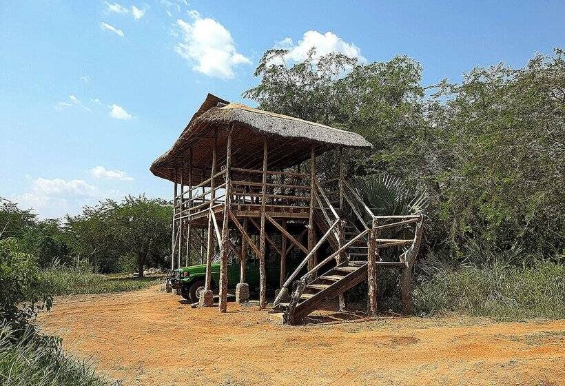 هتل Hornbill Bush Lodge