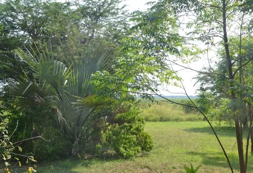 هتل Hornbill Bush Lodge