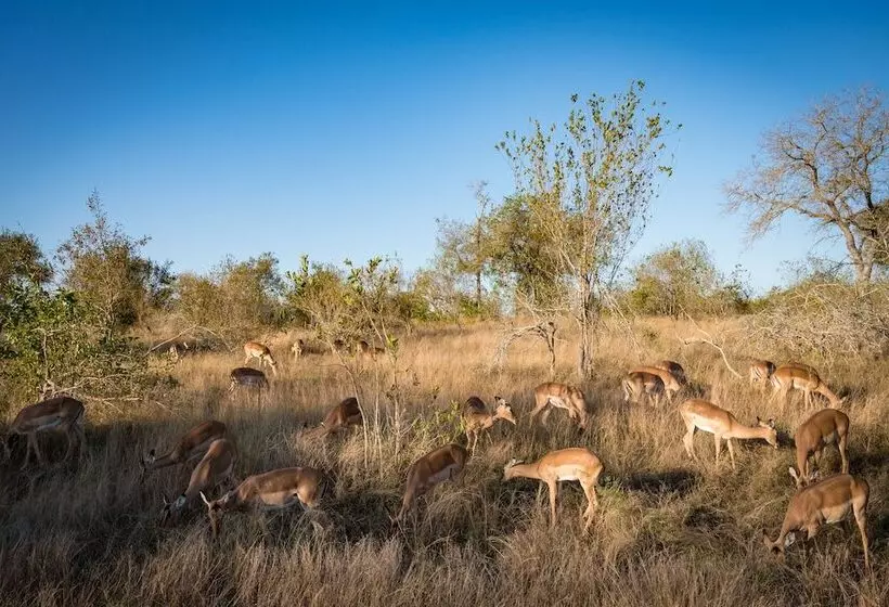 هتل Nkuhlu Tented Camp