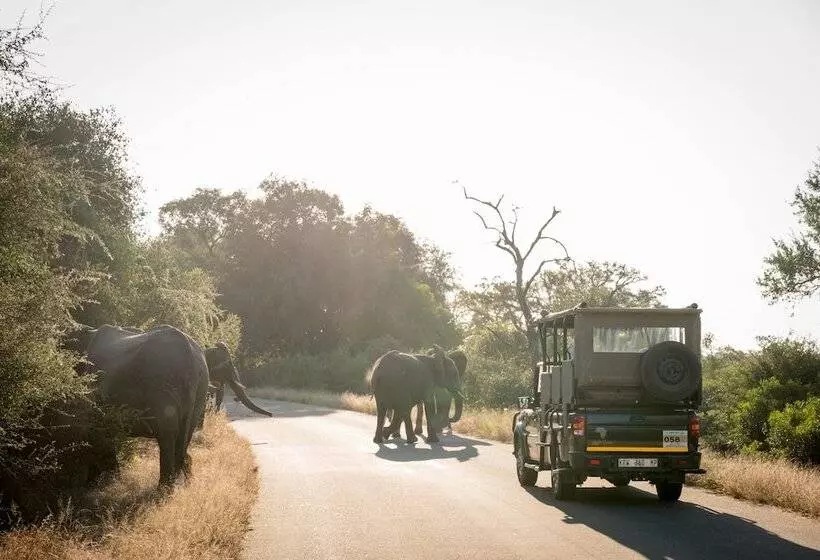 هتل Nkuhlu Tented Camp