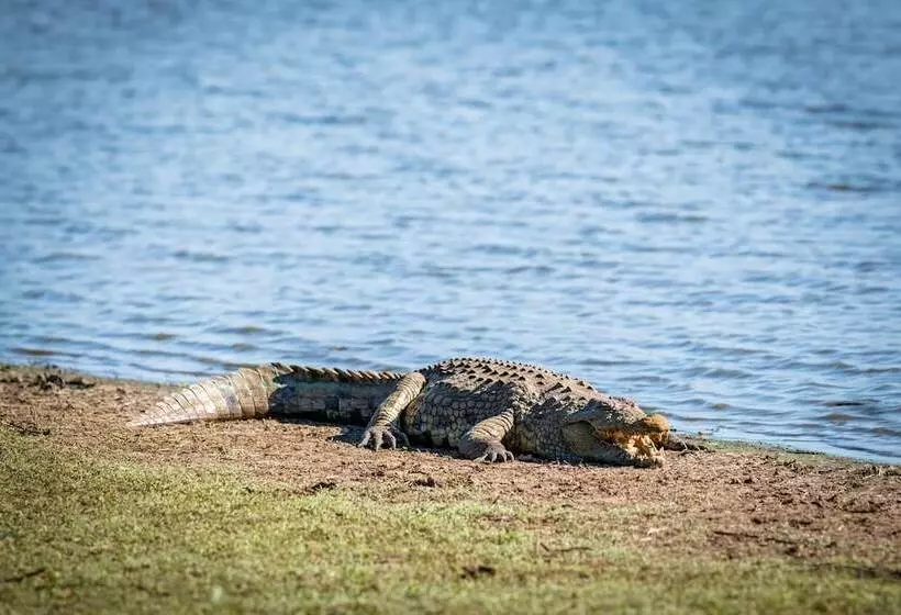 هتل Nkuhlu Tented Camp