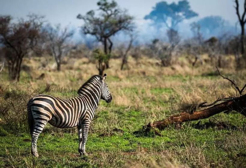 هتل Nkuhlu Tented Camp