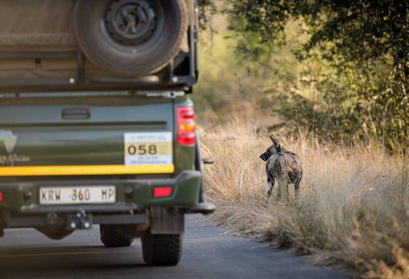 בית מלון כפרי Nkuhlu Tented Camp