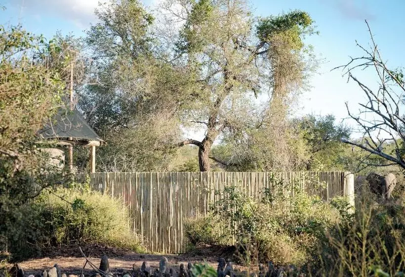 هتل Nkuhlu Tented Camp