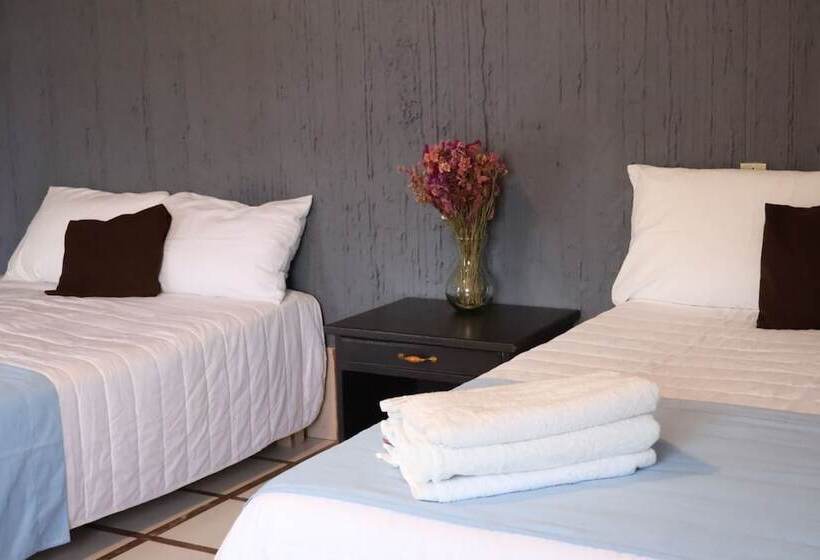 Отель San Felipe Inn By Oyo