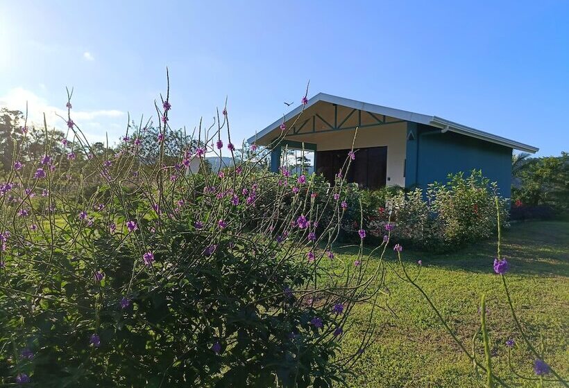 酒店 Villa Luna Del Arenal