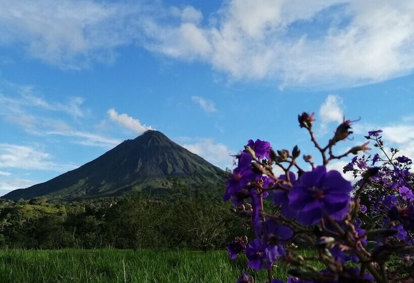 酒店 Villa Luna Del Arenal