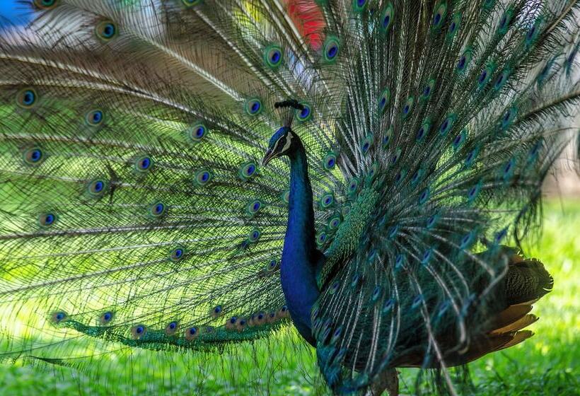 ホテル Los Angeles