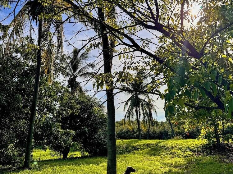 ホテル Los Angeles