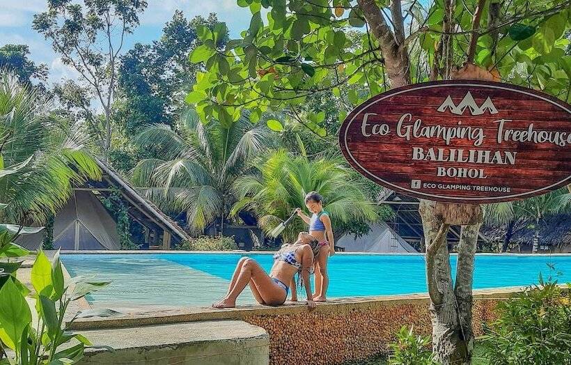 Eco Glamping Treehouses Closest Resort To All Tourist Attractions