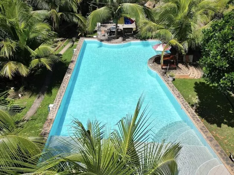 Eco Glamping Treehouses Closest Resort To All Tourist Attractions