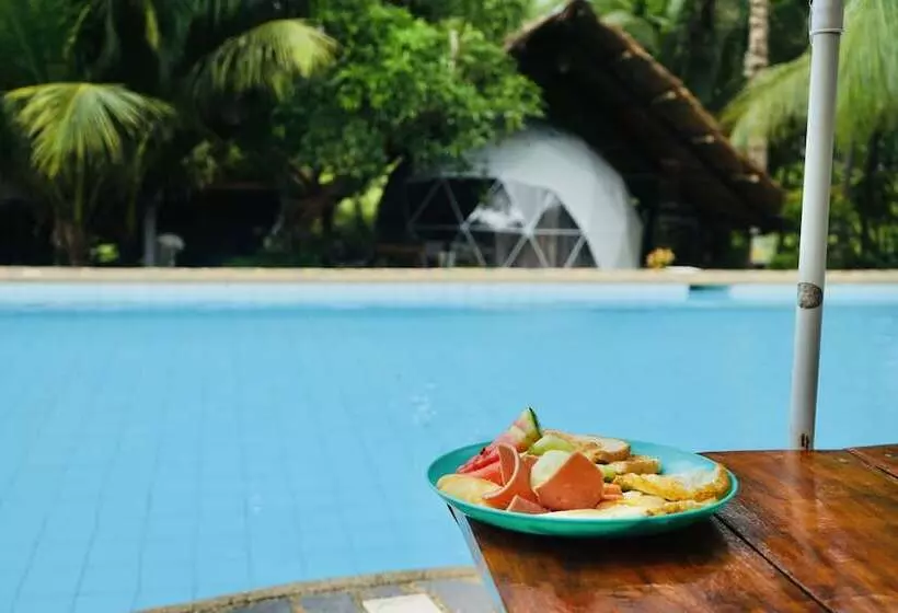 Eco Glamping Treehouses Closest Resort To All Tourist Attractions