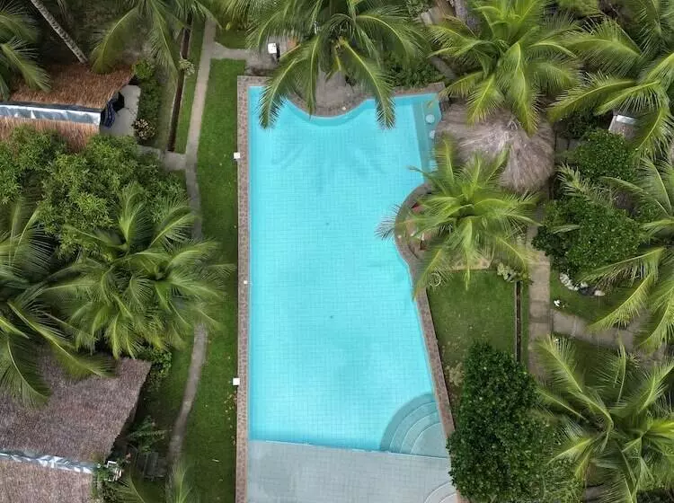 Eco Glamping Treehouses Closest Resort To All Tourist Attractions