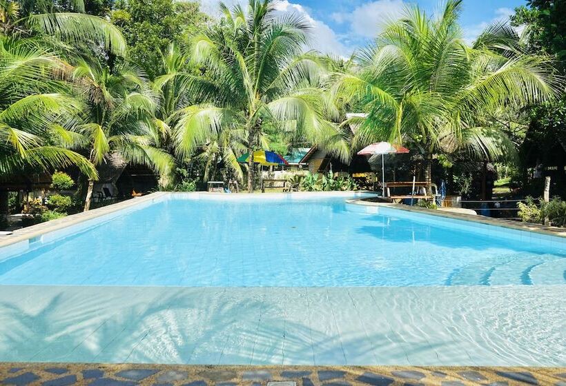 Eco Glamping Treehouses Closest Resort To All Tourist Attractions