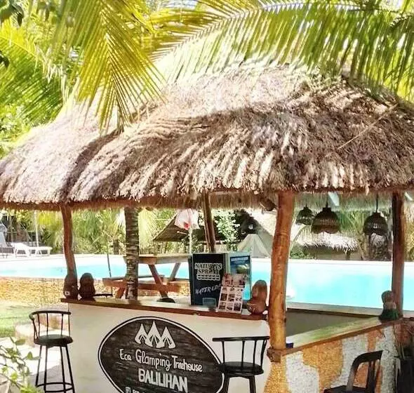 Eco Glamping Treehouses Closest Resort To All Tourist Attractions