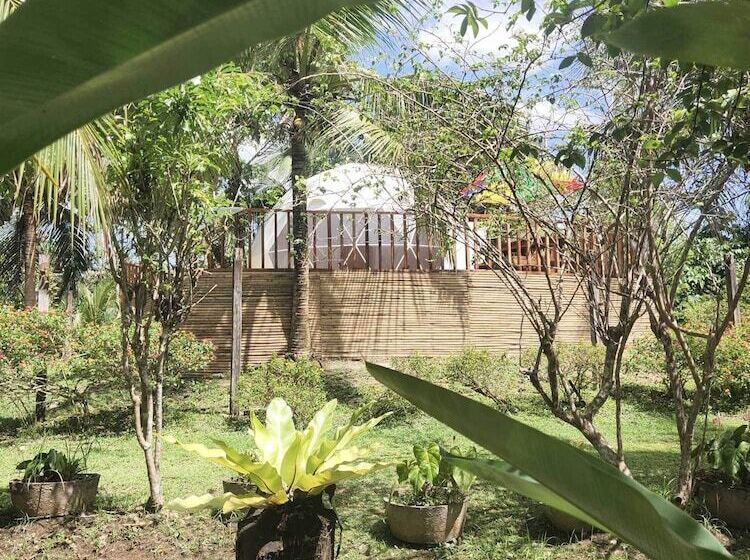 Eco Glamping Treehouses Closest Resort To All Tourist Attractions