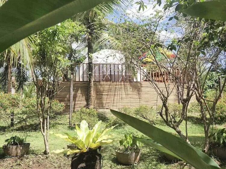 Eco Glamping Treehouses Closest Resort To All Tourist Attractions