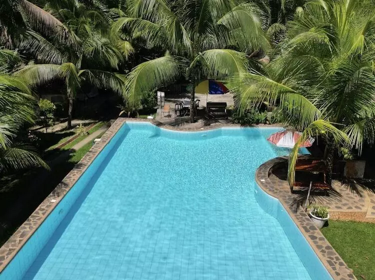 Eco Glamping Treehouses Closest Resort To All Tourist Attractions