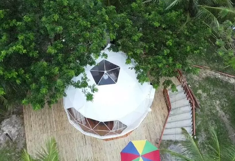 Eco Glamping Treehouses Closest Resort To All Tourist Attractions