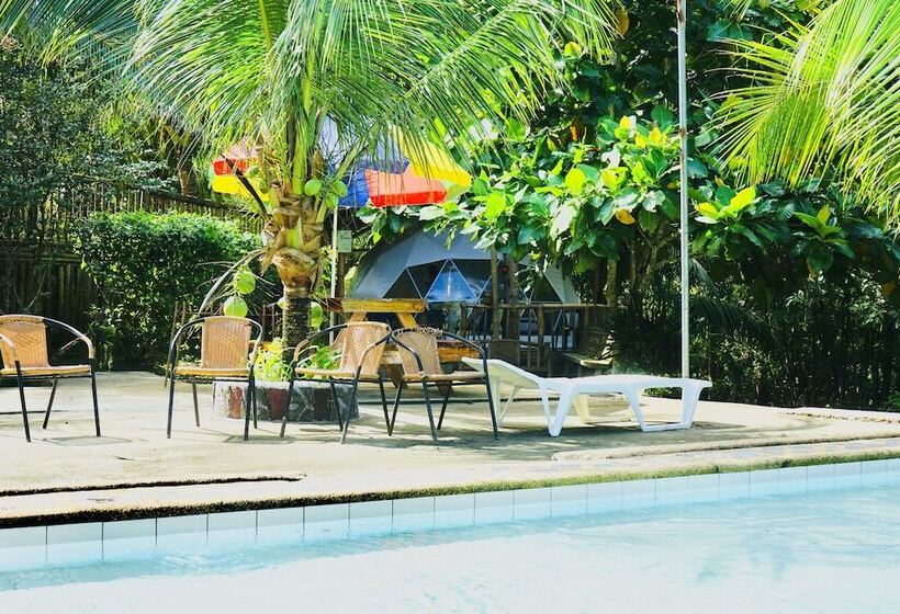 Eco Glamping Treehouses Closest Resort To All Tourist Attractions