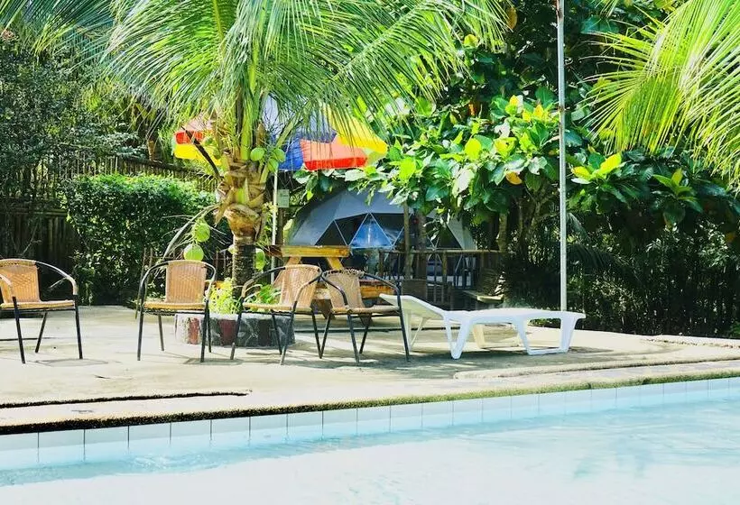 Eco Glamping Treehouses Closest Resort To All Tourist Attractions