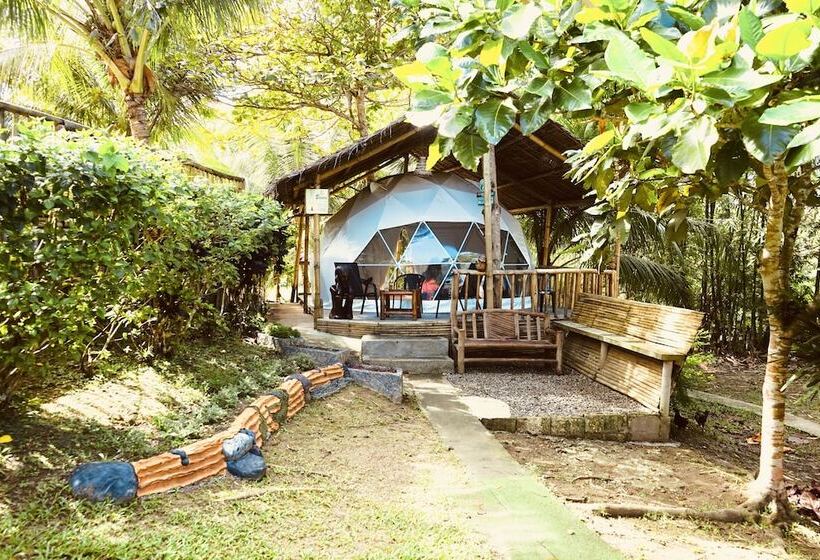 Eco Glamping Treehouses Closest Resort To All Tourist Attractions