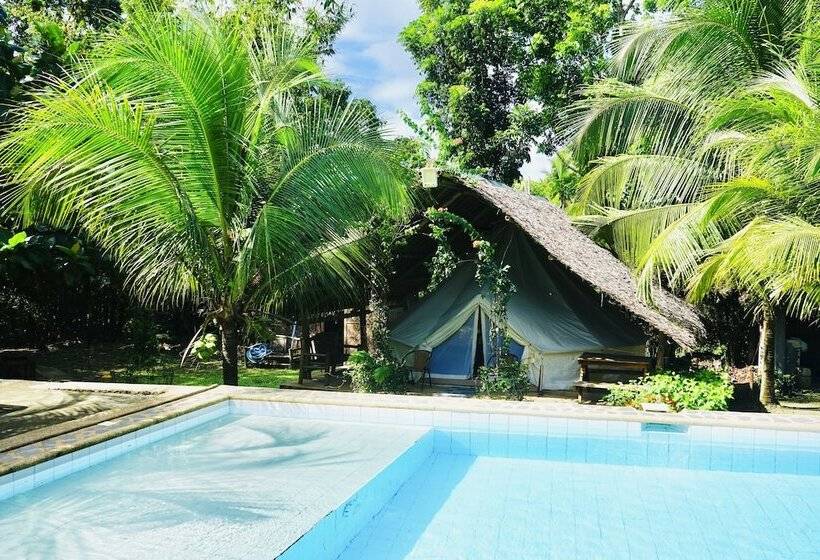 Eco Glamping Treehouses Closest Resort To All Tourist Attractions