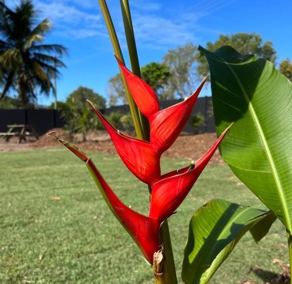 리조트 Glamping Tent 7 All Accessible