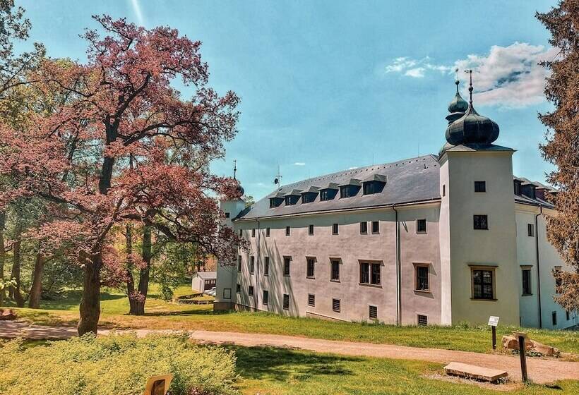 בית מלון כפרי Chateau Třešť