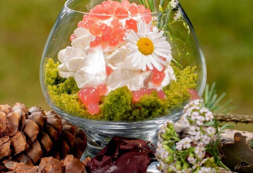 בית מלון כפרי Chateau Třešť