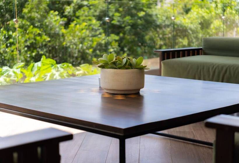 Yaaxlum Luxury Oasis In Tulum