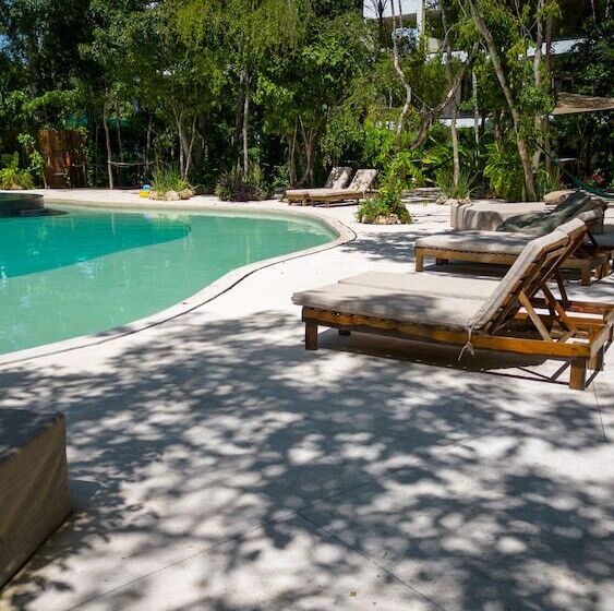 Yaaxlum Luxury Oasis In Tulum