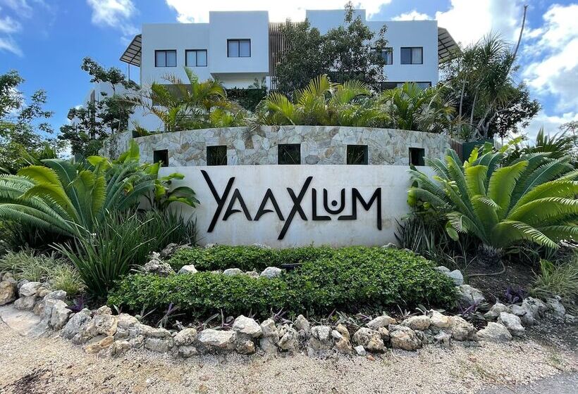 Yaaxlum Luxury Oasis In Tulum