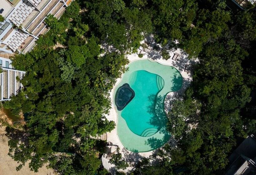 Yaaxlum Luxury Oasis In Tulum
