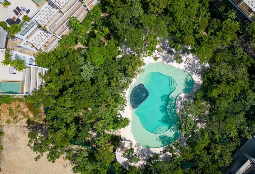 Yaaxlum Luxury Oasis In Tulum