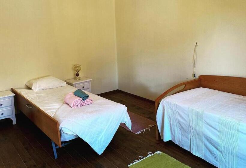 ホテル Residencia Maestrices Casica De La Esquina