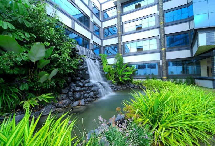 Отель Cn Windsor