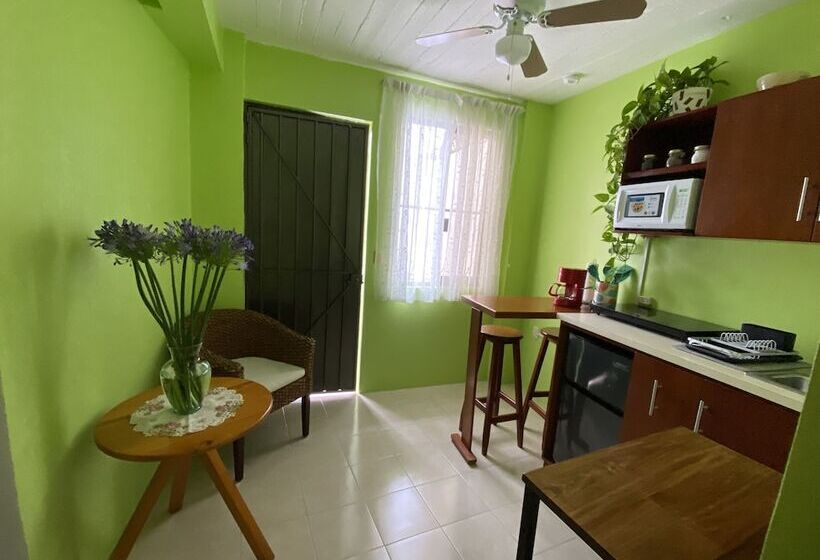 بنسيون Casa Margarita Oaxaca