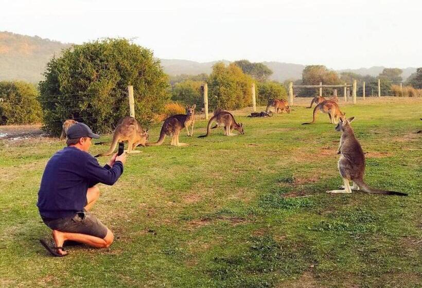 הוסטל 13th Apostle Accommodation