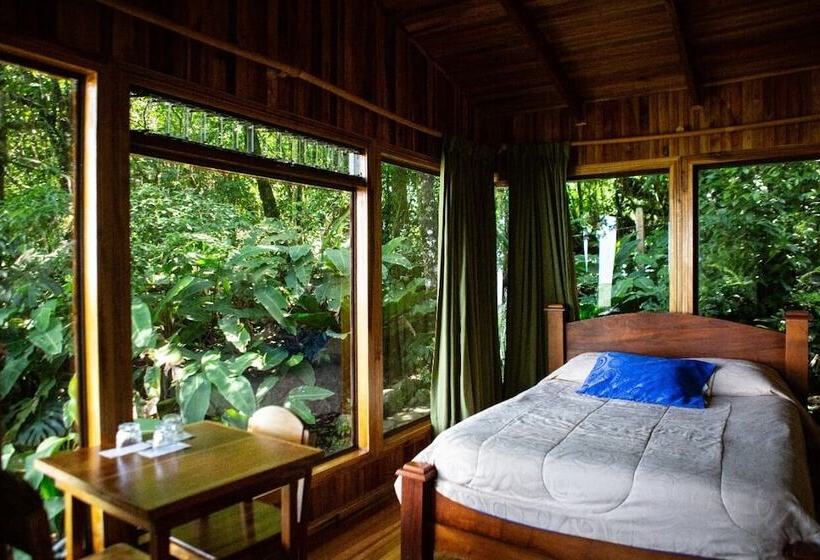 هتل Flor De Bromelia