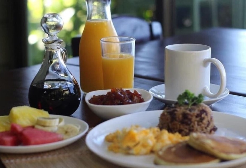 هتل Flor De Bromelia